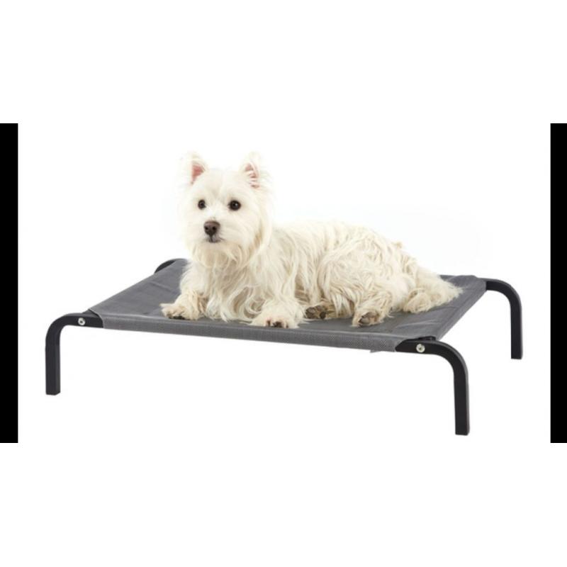 Large elevated dog beds