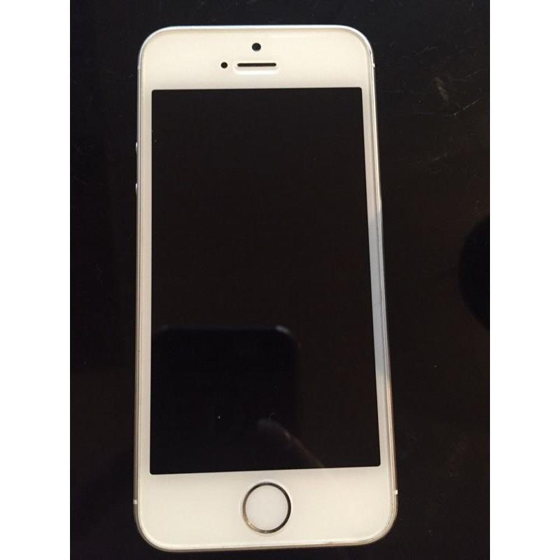 iPhone 5s 16 gig