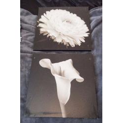 2 Flower prints. Wall pictures, wall prints. Black and white