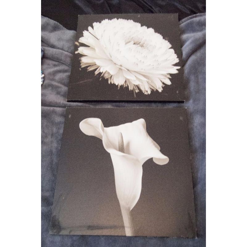 2 Flower prints. Wall pictures, wall prints. Black and white