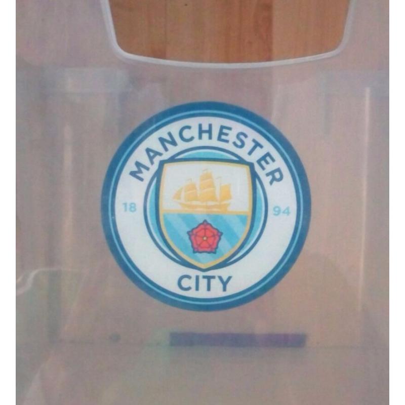 Manchester City Window Badge, Car / Home
