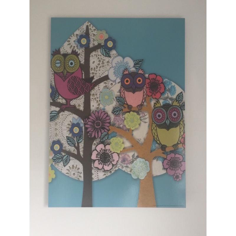 Owl picture canvas