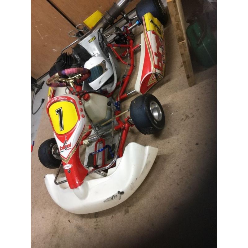 XC30 100cc Junior GoKart (Easy Kart)