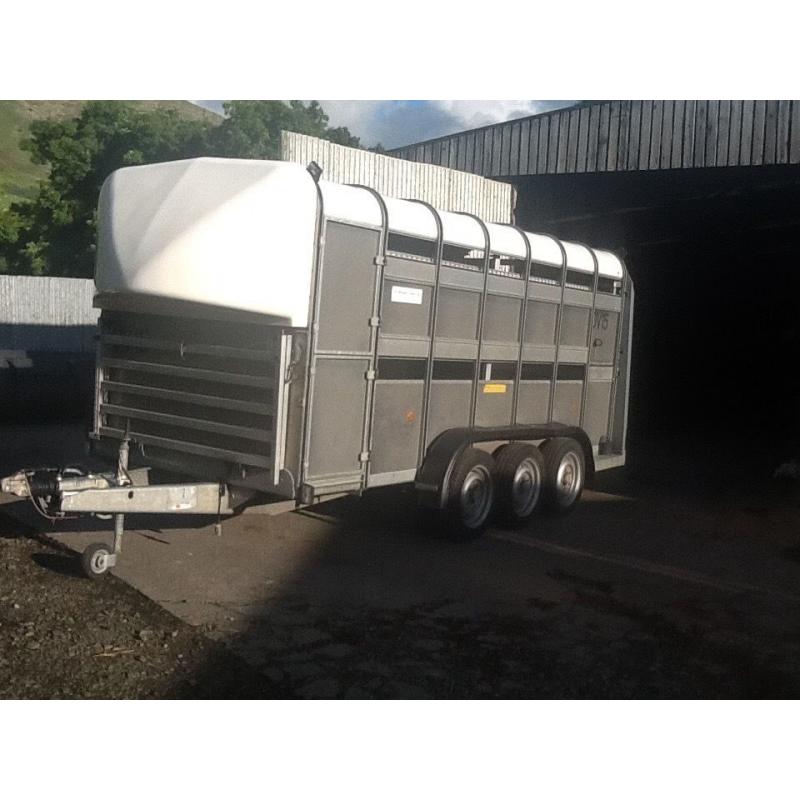 Ifor Williams sheep trailer