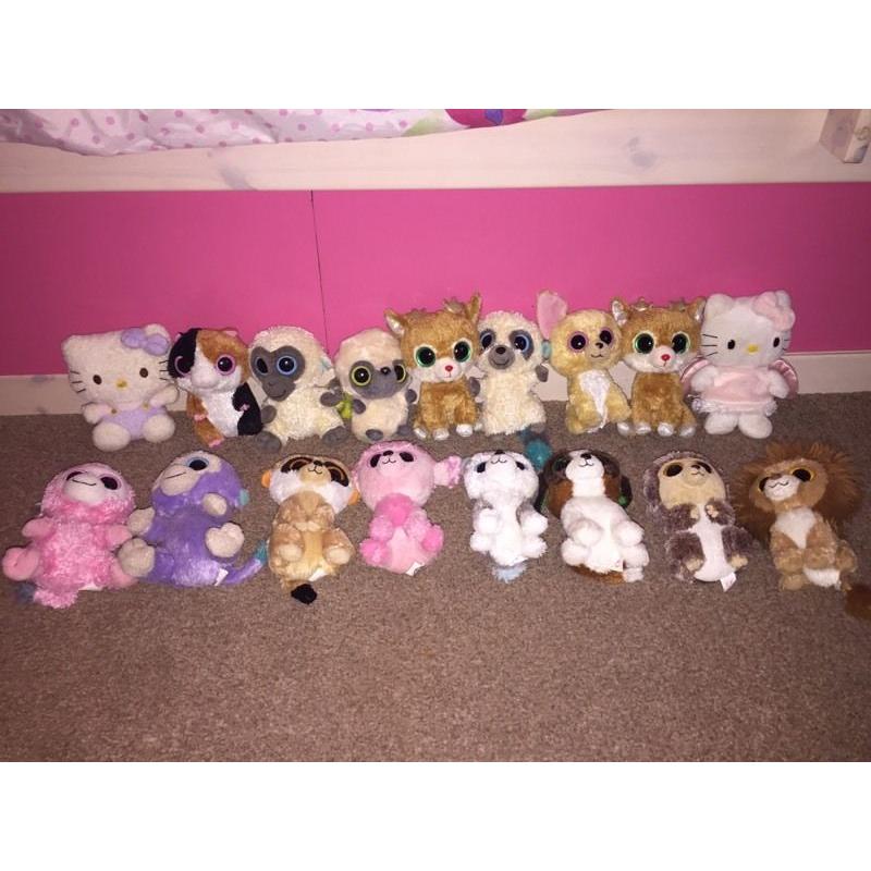 Teddy/ beanie boo collection