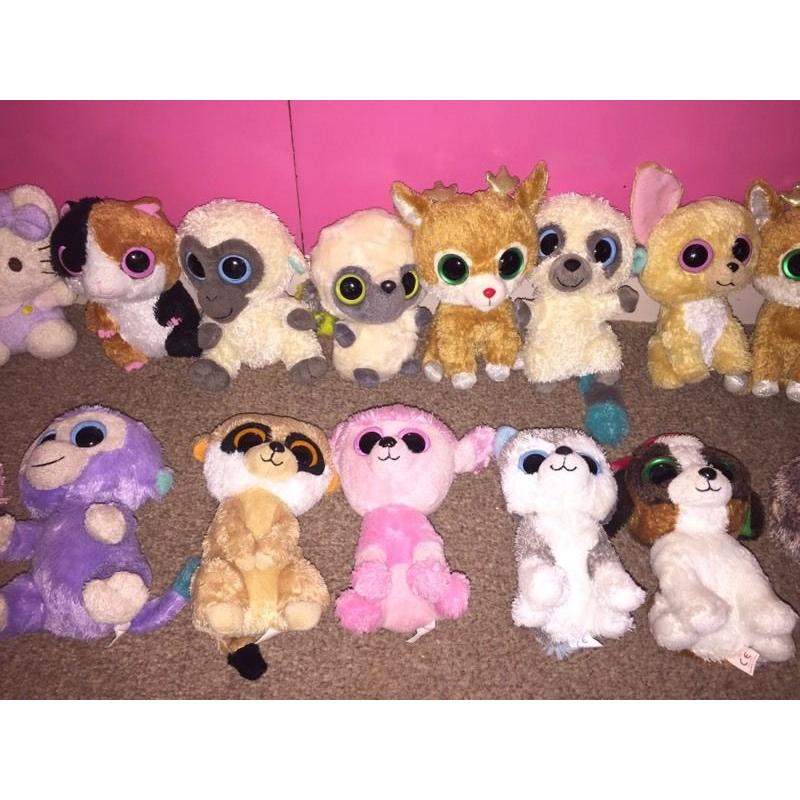 Teddy/ beanie boo collection