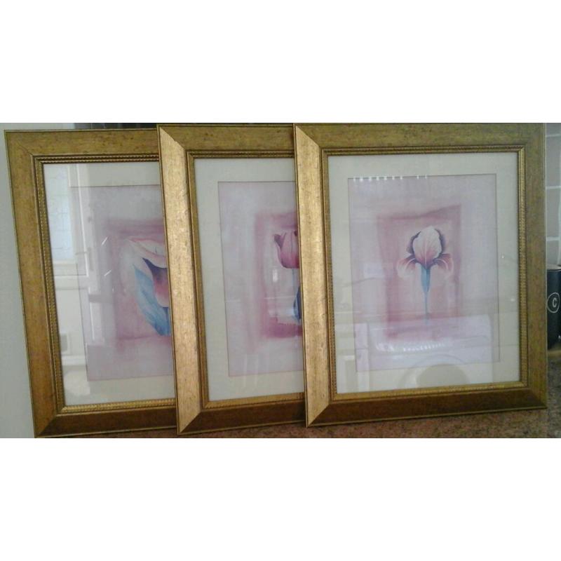 Framed pictures