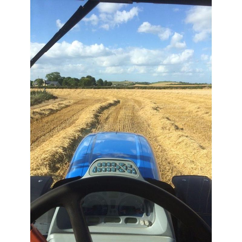 Winter Barley Straw