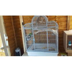 Pair of lovebirds and cage